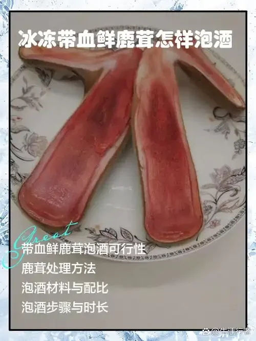 东革阿里与鹿茸在透明玻璃罐中浸泡的药酒特写，旁边散放着原材料和称量工具_1