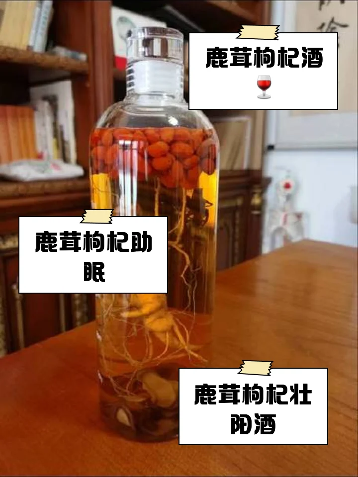 一瓶正在浸泡中的鹿茸养生酒，鹿茸切片清晰可见，酒液呈琥珀色，旁边搭配红枣等辅材，整体画面温馨自然。_1