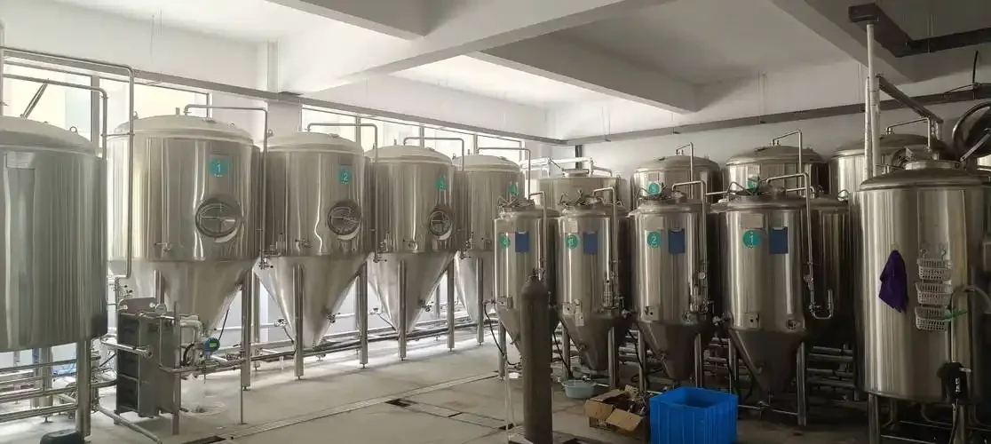家庭精酿啤酒工作台：储酒罐、啤酒龙头、二氧化碳系统及清洁的瓶装工具特写_1