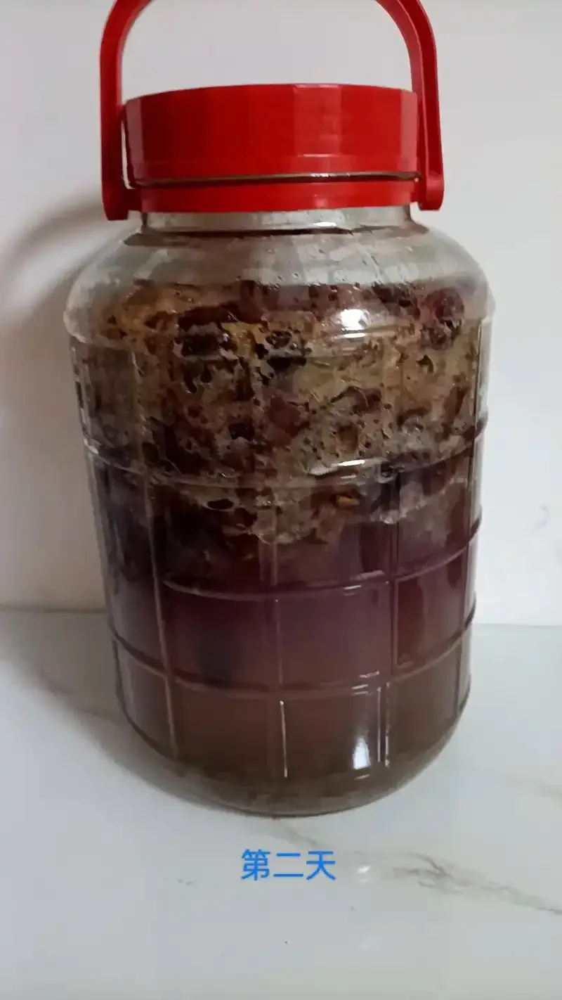 家庭自酿葡萄酒准备材料：紫色葡萄、玻璃罐、白糖和工具_1