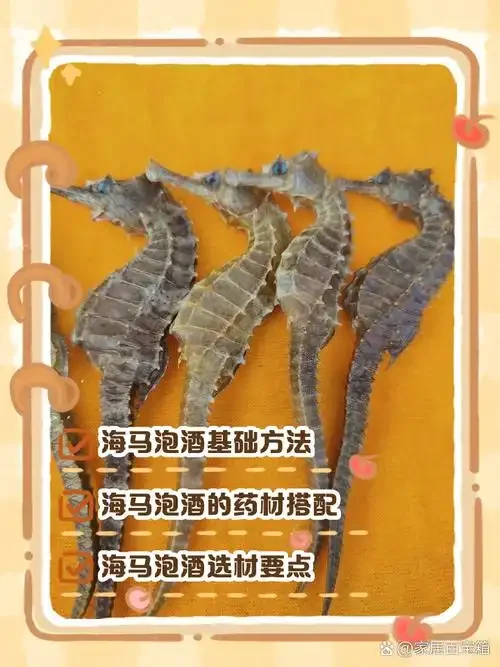 牛大力、鹿茸片和海马在透明玻璃酒罐中浸泡的细节特写，展示药材的形态与色泽。_1