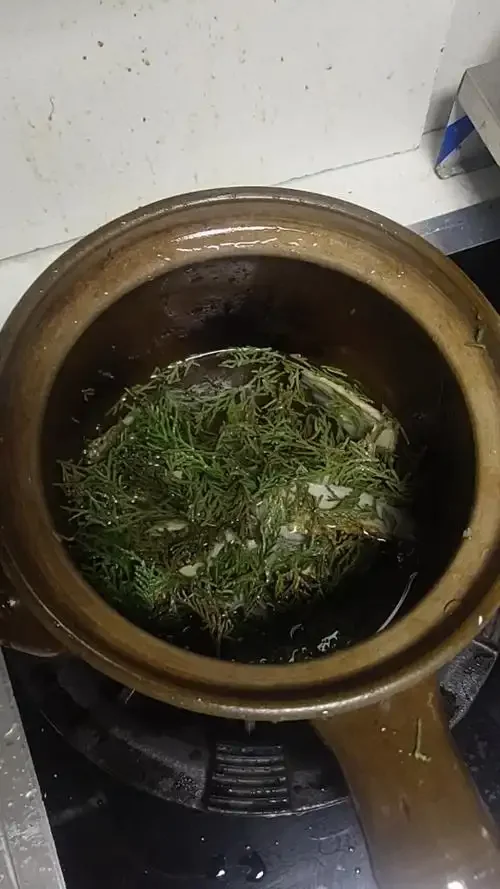 侧柏叶当归何首乌在透明玻璃罐中浸泡的药酒特写，展示传统泡酒的药材与色泽_1