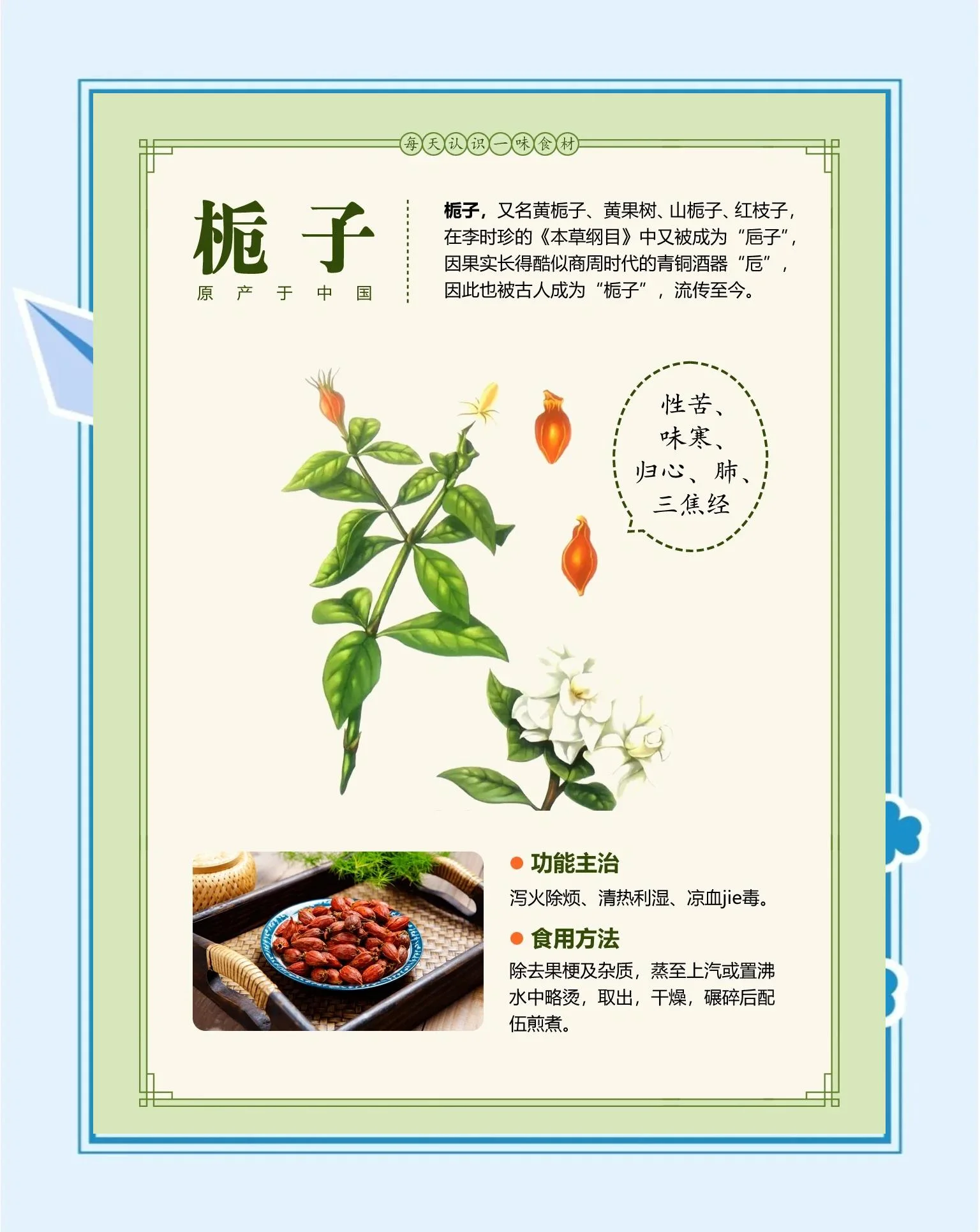 栀子花与栀子果正被放入透明玻璃酒罐中泡制，酒体呈现清澈的金黄色_1