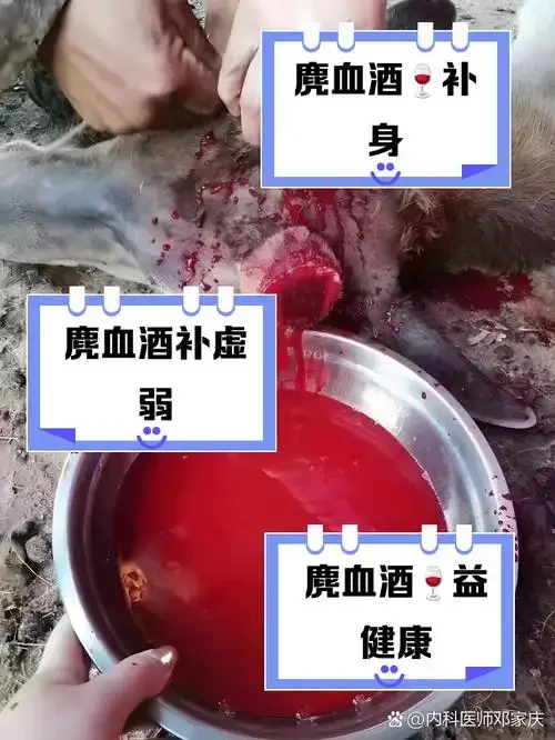 鹿鞭泡酒成品展示：透明玻璃罐中浸泡着鹿鞭与中药材的琥珀色酒液_1