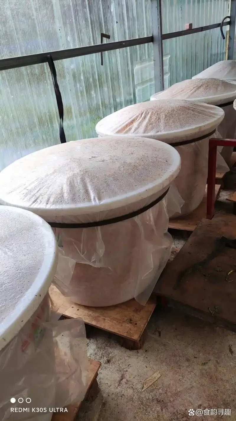 家庭酿酒师在干净环境中操作固态发酵酒醅_1