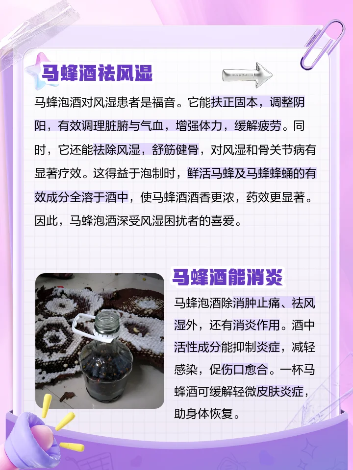 专业酿制的玛卡养生酒特写，展示玛卡干片在纯粮食酒中的浸泡状态及传统辅料_1