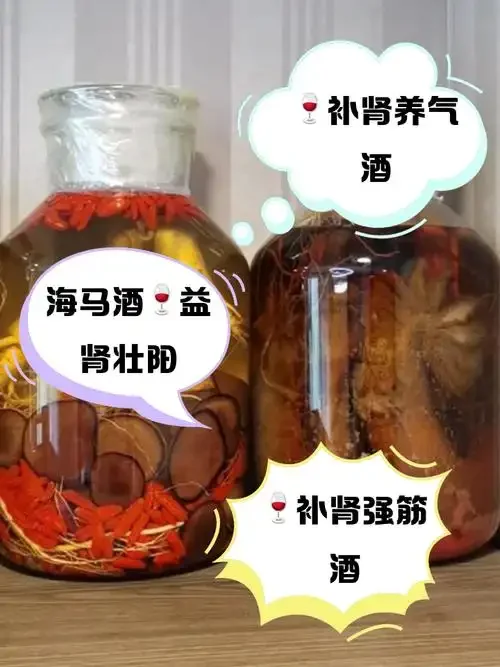 蛇泡酒制作示例图：玻璃瓶中乌梢蛇与中药材浸泡在清澈酒液中，展示专业酿酒过程_1