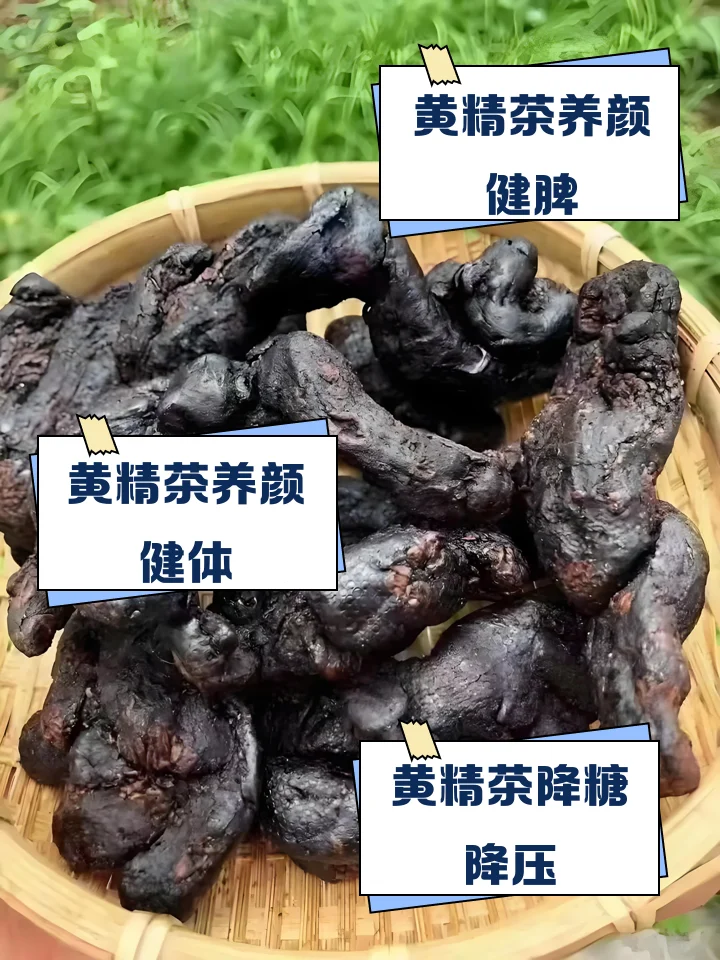 透明酒坛中的金黄色黄精酒与新鲜黄精根茎特写，展示家庭泡制药酒的专业场景_1