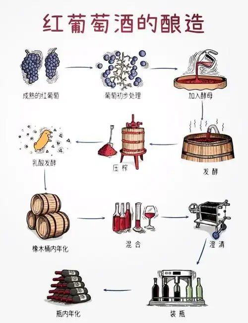 家庭自酿葡萄酒所需材料和工具准备：新鲜葡萄、玻璃瓶、手套和木杵。_1