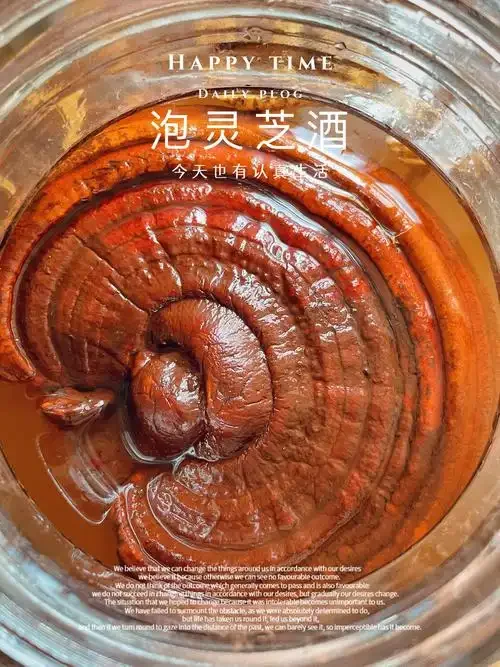 灵芝浸泡在陶瓷酒坛中的特写，展示传统泡酒方法_1