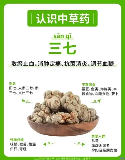 资深酿酒师展示优质三七泡酒，包含三七药材、玻璃罐等泡制工具特写_1