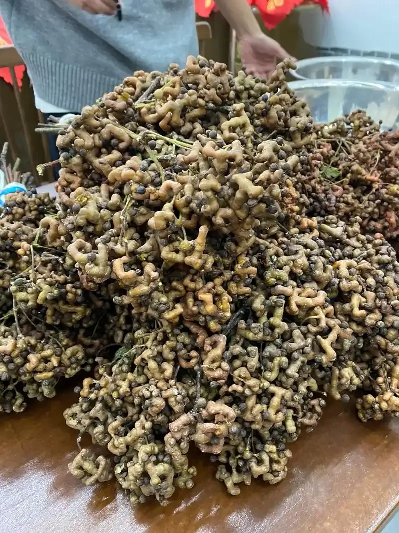 当归拐枣泡酒成品展示：透明玻璃罐中琥珀色酒液浸泡着当归和拐枣_1