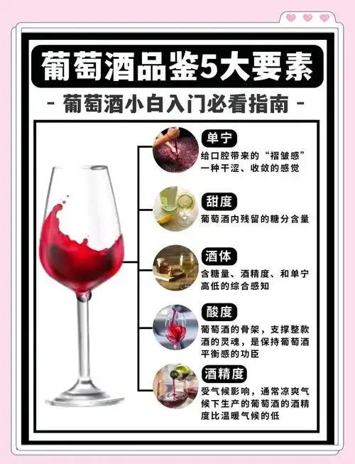 红葡萄酒、白葡萄酒与多种家庭自酿水果酒并排展示于木桌上_1