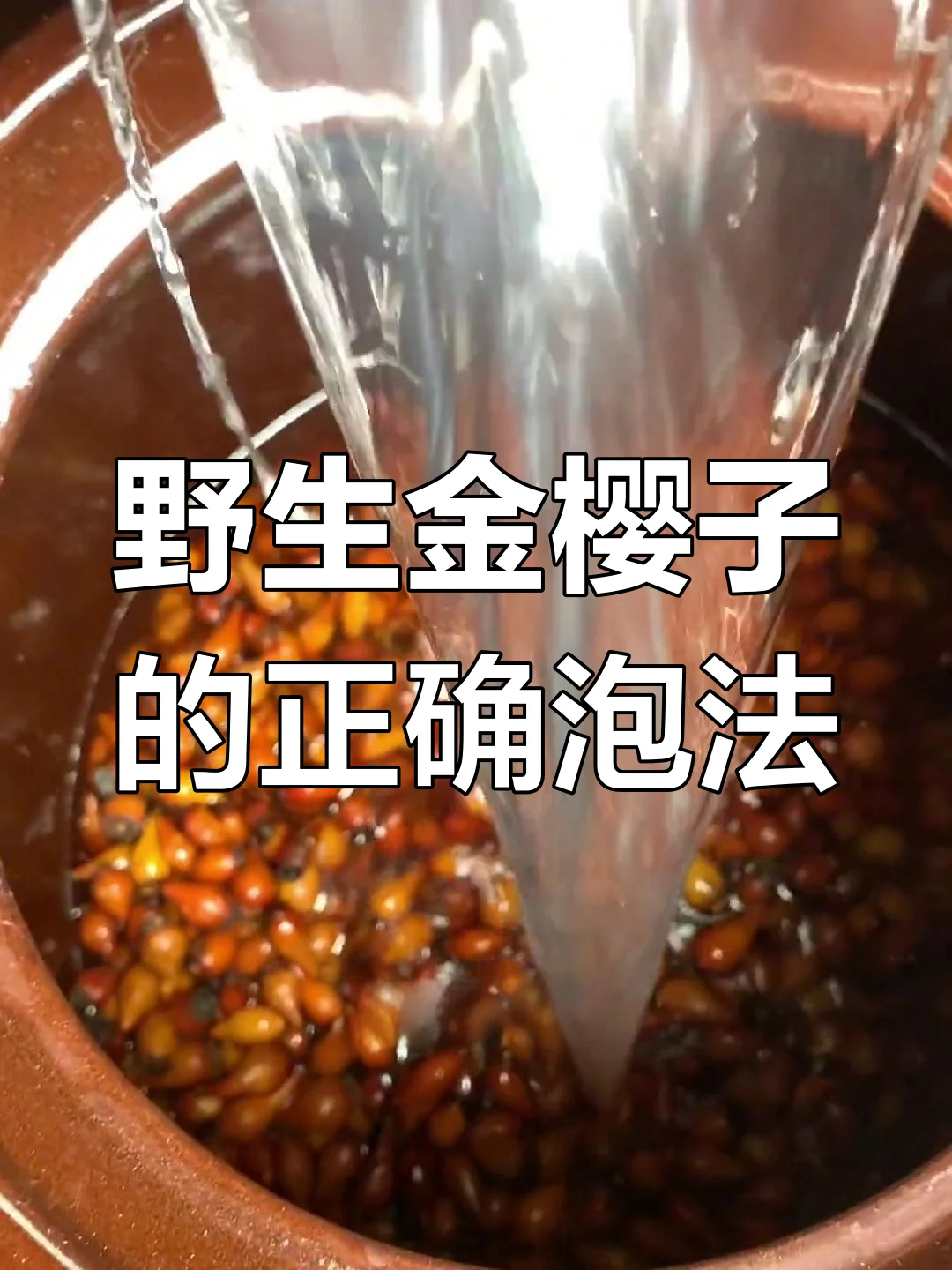 泡在玻璃罐中的玛卡金樱子酒，酒色呈琥珀色，玛卡片与金樱子清晰可见。_1