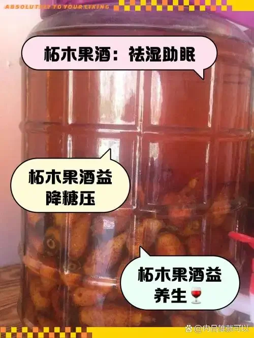 青绿色未成熟与鲜红色成熟构树果的对比图，用于泡酒原料选择参考。_1