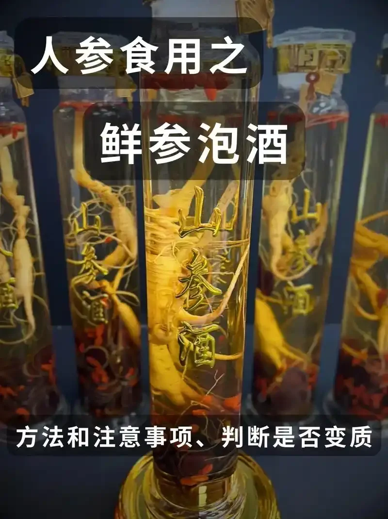 新鲜人参泡酒与干人参泡酒对比实物图，展示两种人参在酒液中的不同形态和色泽_1