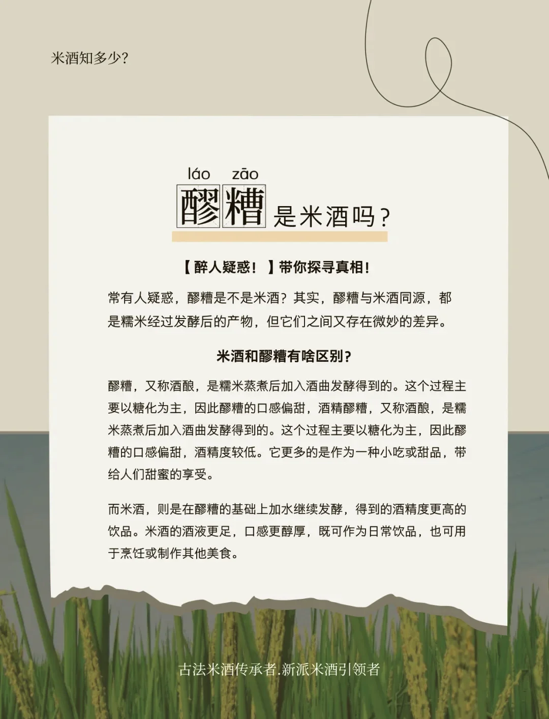一碗甜酒酿和一杯米酒的对比图，展示其外观和质地的不同_1