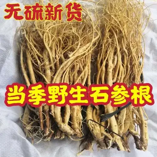 家庭自制石参根泡酒成品展示：透明玻璃酒坛内琥珀色酒液与清晰可见的石参根药材_1