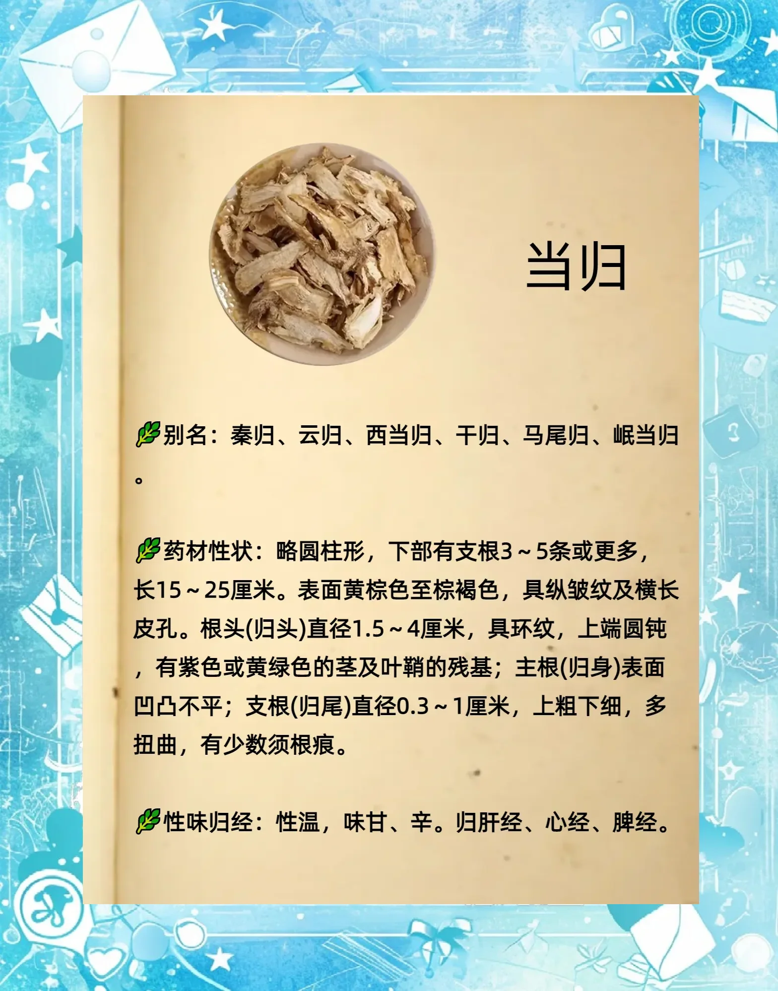 对比展示当归泡酒初期与成熟期的状态，旁边散落着当归、枸杞等原材料_1