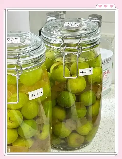 酿酒工具对比图:塑料桶、玻璃发酵罐与不锈钢发酵桶并置,用于讨论自制葡萄酒的发酵容器选择_1