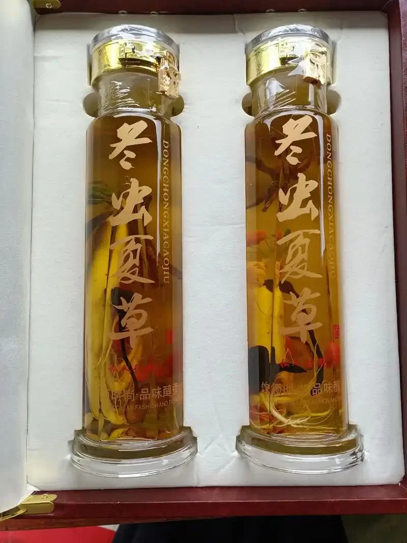 虫草泡酒药材搭配展示：玻璃罐中虫草、枸杞、人参等药材在酒中清晰可见，旁边散落着灵芝和红枣。_1