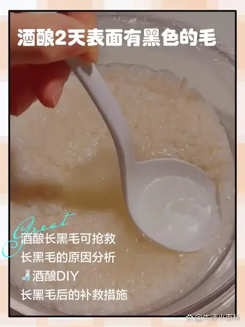 20度环境下米酒发酵过程实景图，显示透明发酵罐内酒液状态及温度计读数_1