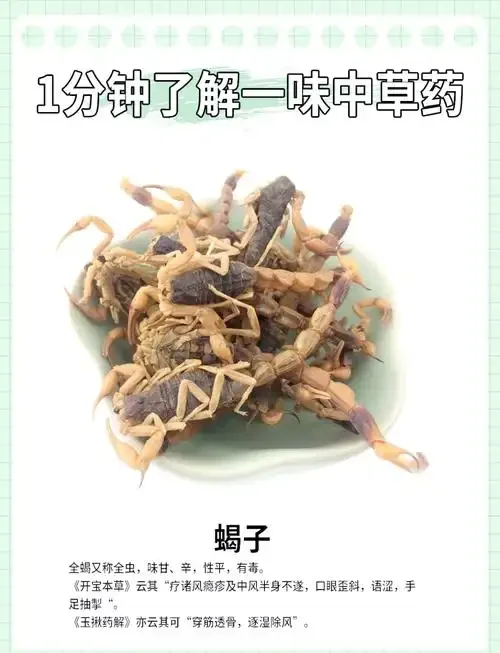 透明玻璃瓶中活蝎子泡酒成品展示图，蝎子清晰可见，酒液纯净。_1