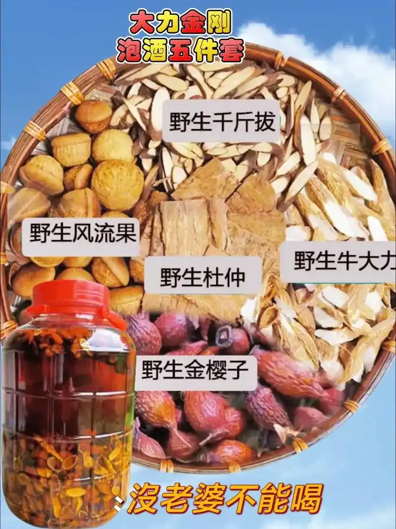 家庭泡酒材料大全示例：玻璃瓶中泡着杨梅和枸杞，周围散落着蓝莓、当归、红枣、青梅、人参、冰糖和粮食酒等常用材料。_1