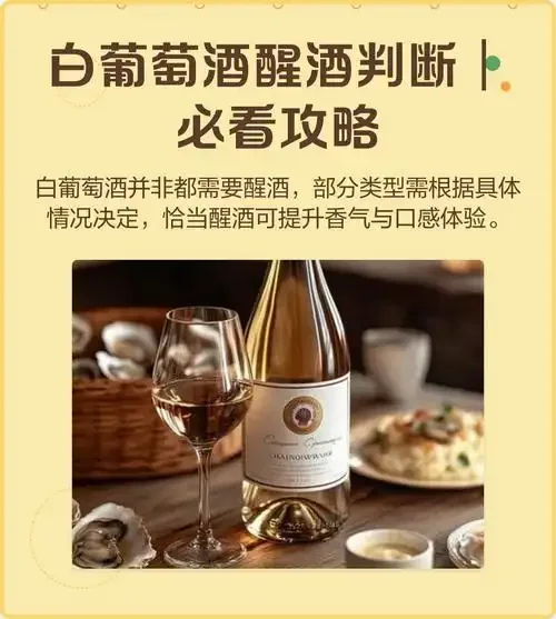 一杯清澈诱人的白葡萄酒，旁边搭配柠檬、奶酪和葡萄，展示优雅的品鉴场景_1
