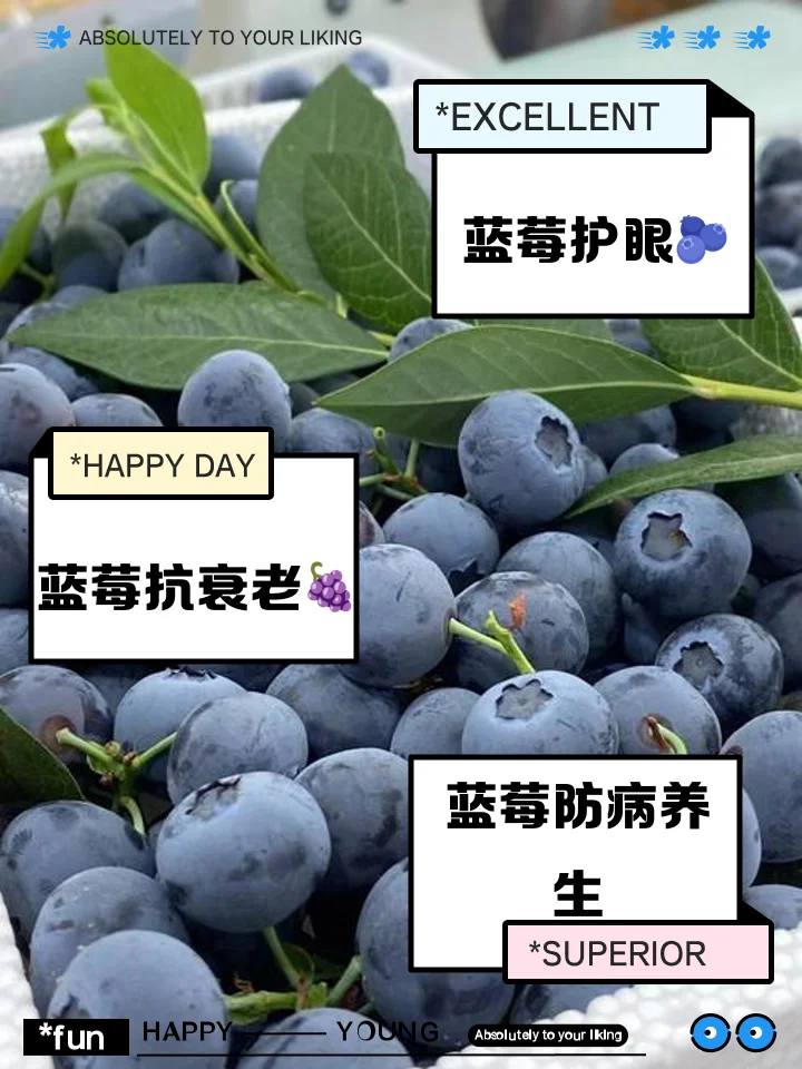 自酿蓝莓酒成品特写：深紫红色酒液与饱满蓝莓在玻璃罐中，展示家庭酿酒的真实效果。_1