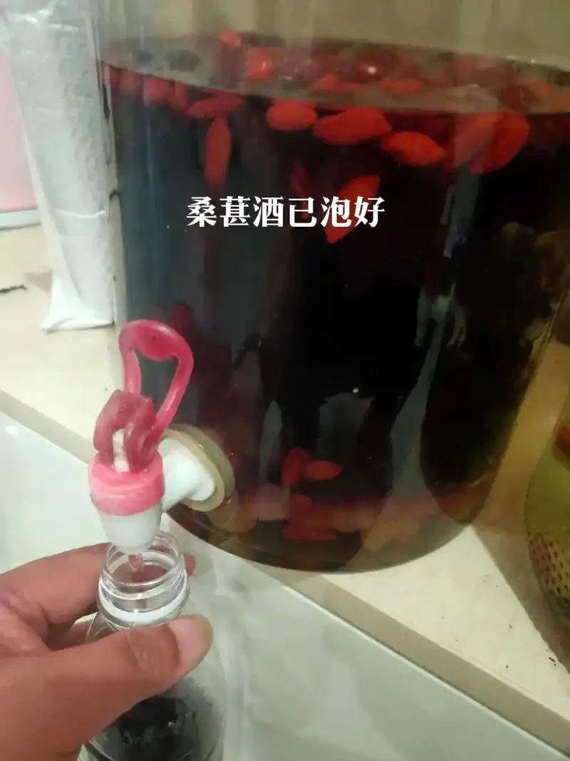 自酿桑葚酒与适量酒杯展示图，示意健康饮用量_1
