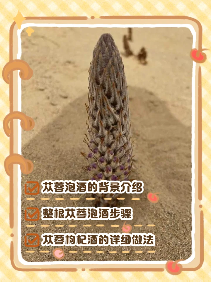 肉苁蓉枸杞泡酒黄金比例实物展示：透明玻璃罐中琥珀色酒液浸泡着药材，旁边配有药材和比例说明。_1