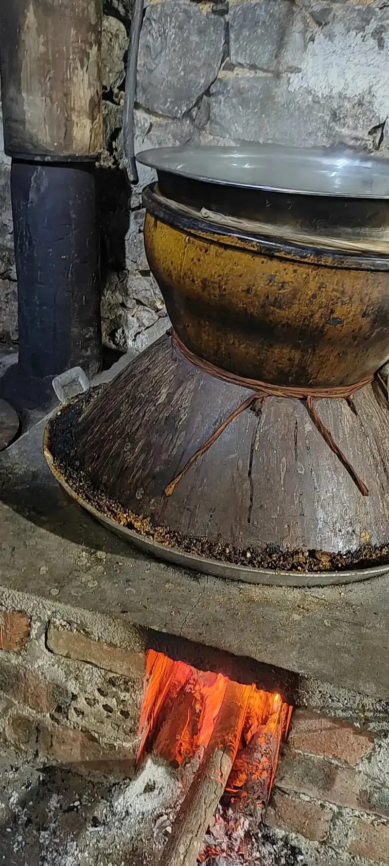 玉米酒发酵过程实拍：透明玻璃坛内金黄色醪液正在活跃发酵，产生细小气泡_1