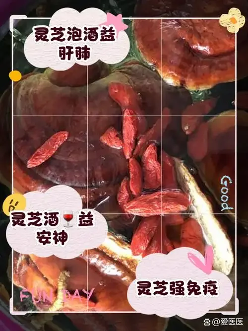 一个装有灵芝、枸杞和人参的透明泡酒罐，酒液金黄清澈，展示了家庭泡酒的常见材料和状态_1