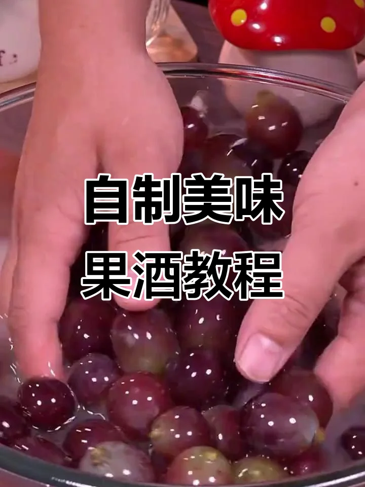 家庭自酿葡萄酒制作过程：发酵中的葡萄醪、新鲜巨峰葡萄、冰糖、发酵罐和工具展示_1