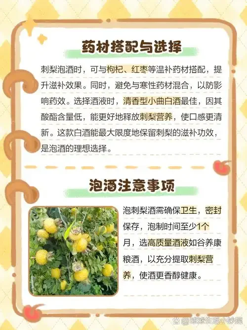 家庭自制刺梨人参泡酒：透明玻璃罐中金黄色的刺梨与完整人参浸泡在酒中_1