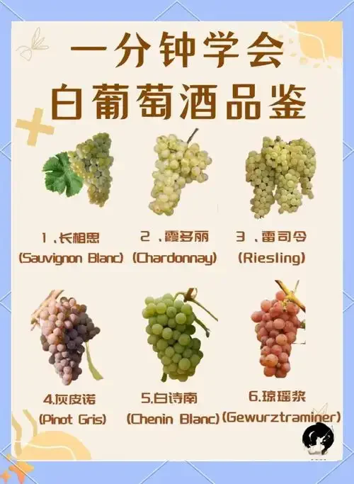 半甜型白葡萄酒品鉴场景：盛有金黄色酒液的郁金香杯与青提、清蒸鱼、芝士等配餐搭配。_1