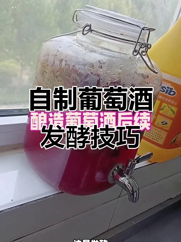 家庭自酿葡萄酒发酵过程实拍：透明发酵罐中紫色葡萄汁正在进行主发酵，旁边摆放着新鲜葡萄和酿酒工具。_1