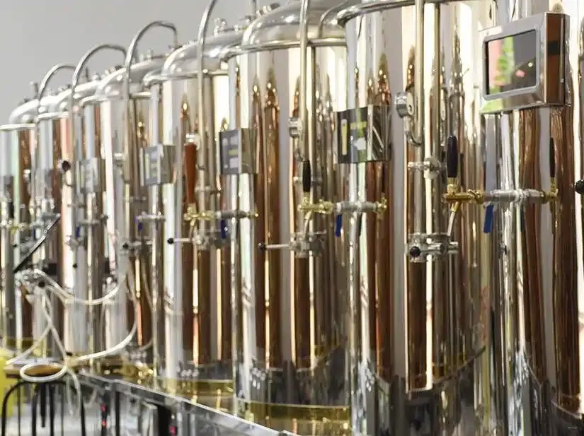 家庭自酿啤酒设备工作台展示，包含全套不锈钢酿酒器具和成品啤酒_1