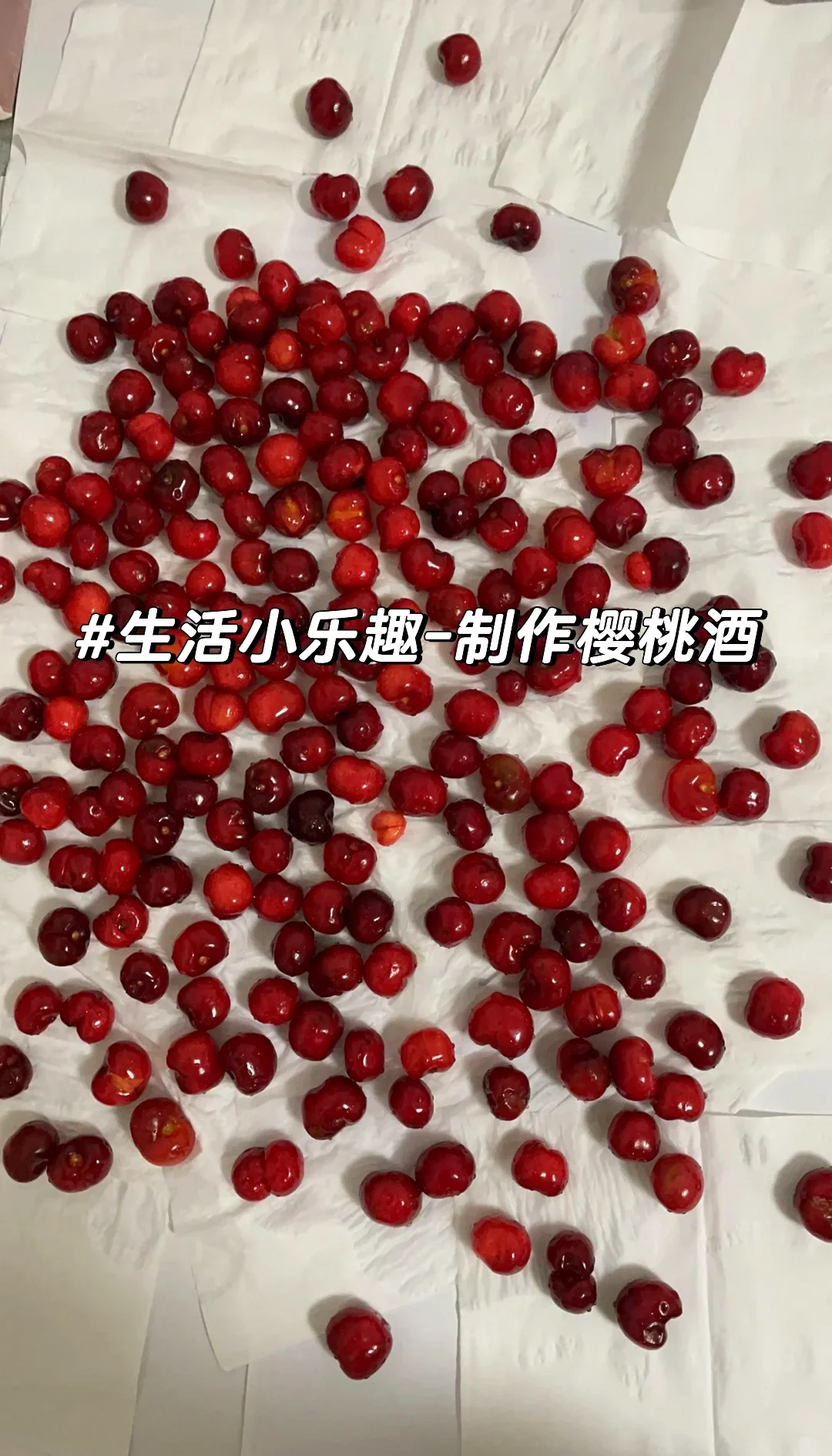 家庭自制樱桃酒制作过程图：新鲜樱桃与发酵中的樱桃酒液_1