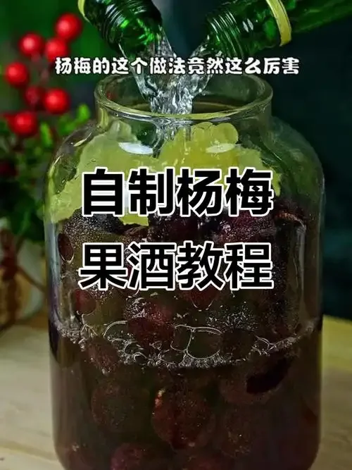 家庭自酿杨梅酒过程实拍：玻璃罐中饱满的杨梅浸泡在酒液中，旁边放着冰糖和新鲜杨梅。_1