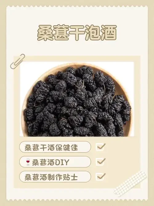 泡制中的桑葚干酒特写，展示深紫红色酒液与饱满桑葚干在透明罐中的状态_1