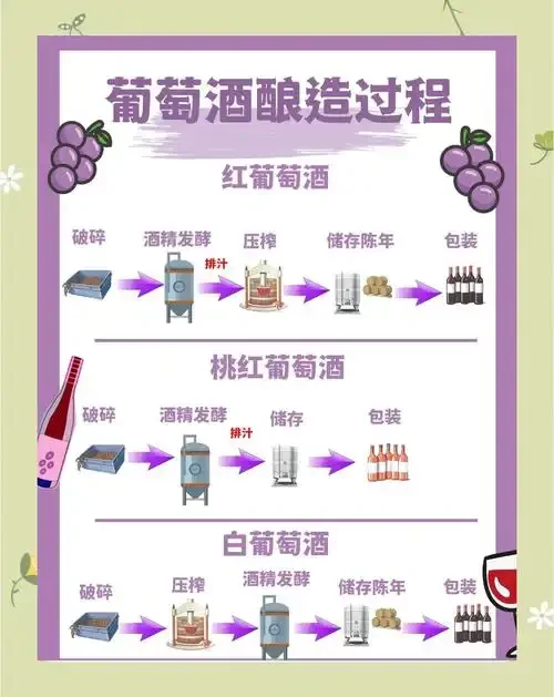 家庭自酿葡萄酒制作过程展示：新鲜葡萄、搪瓷盆和装有发酵中葡萄汁的玻璃罐_1