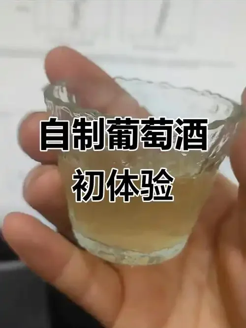 正在进行中的红葡萄酒发酵过程特写，展示发酵罐、酒帽及酿酒工具_1
