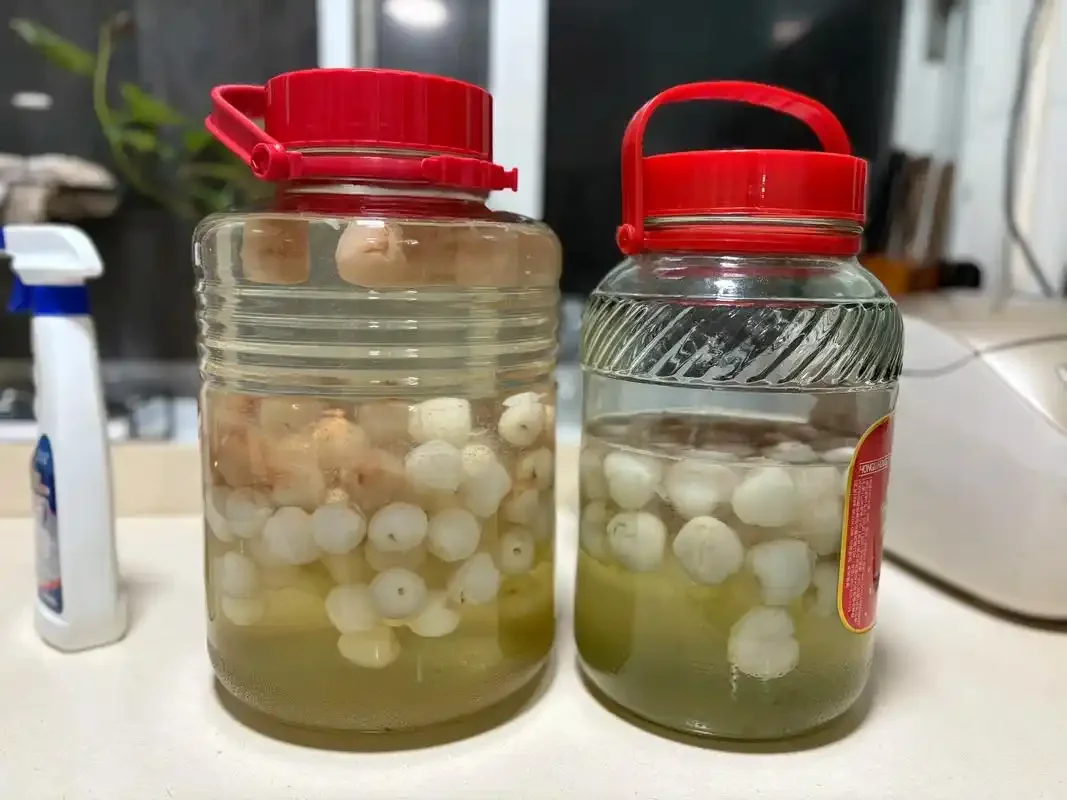 荔枝泡酒制作过程展示：透明玻璃罐中分层放置荔枝肉、冰糖和白酒，旁边有新鲜荔枝和绿叶点缀。_1