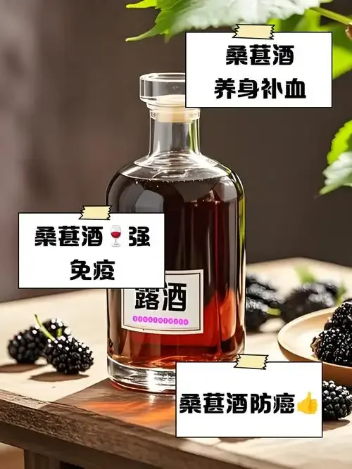 家庭自酿桑葚干泡酒效果图：透明玻璃罐中深紫红色的桑葚酒液与配料特写_1