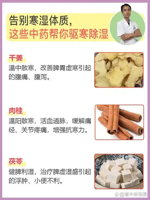 排寒祛湿药酒泡制过程展示：装有当归、黄芪、枸杞等药材的透明玻璃罐_1