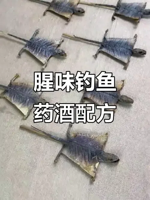 夏日钓鱼场景，旁边摆放着自制的琥珀色钓鱼药酒和几味中药材，如丁香和山奈。_1