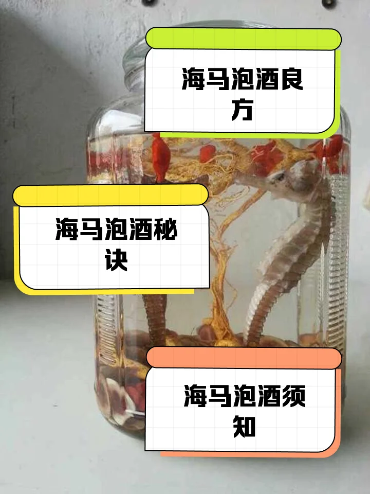 人参鹿茸枸杞海马泡酒原料展示图：透明玻璃罐中装着人参、鹿茸片、枸杞和干海马，用于家庭制作滋补养生酒。_1