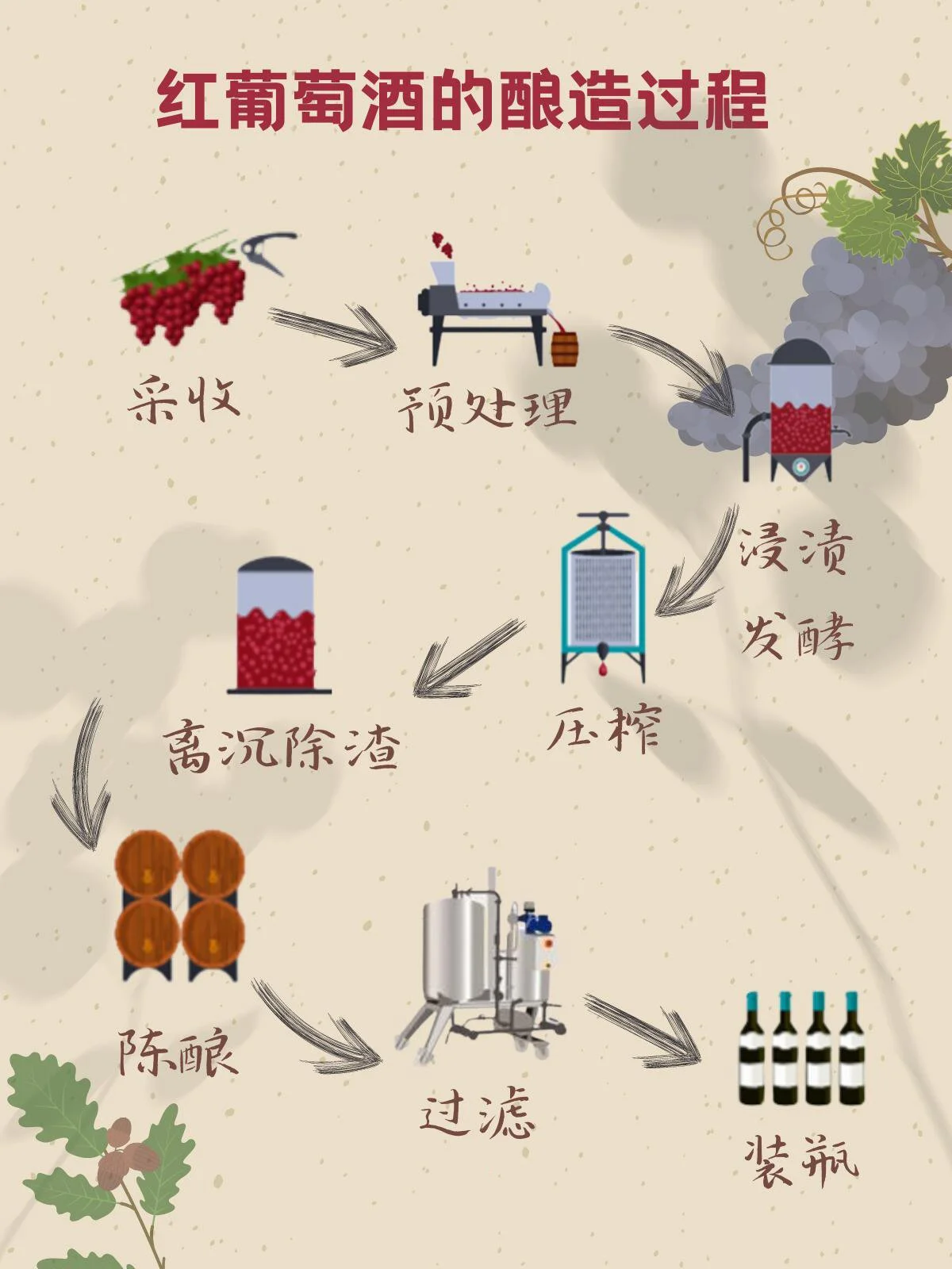 制作酒酿所需的原料：蒸好的圆糯米、传统植物酒曲、饭勺和凉白开。_1